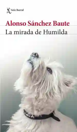 La Mirada de Humildad - Alonso Sánchez