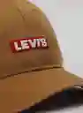 Levi'S Gorra Varias Café T222 222 218366