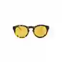 Gafas I 23867-BOL-81 Invicta