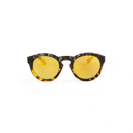 Gafas I 23867-BOL-81 Invicta