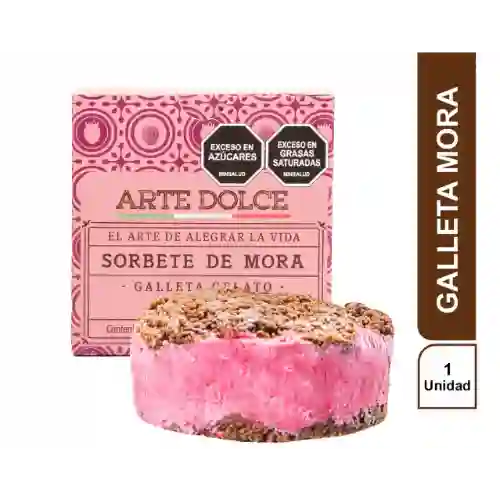 Galleta Helado de Mora 125 G