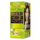 Garnier-Nutrisse Tinte Permanente Centeno 61