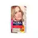 Tinte Igora Vital 8-1 Rubio Claro Cenizo