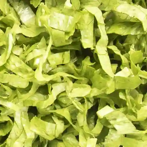 Lechuga