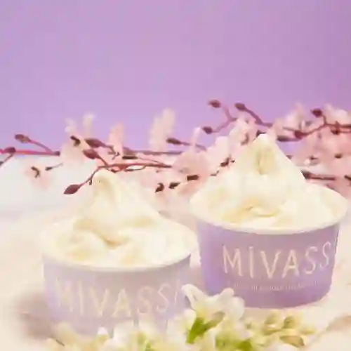 Helado de Yogurt Griego Mediano