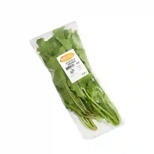 Biohuerto Lechuga Rucula Orgánica