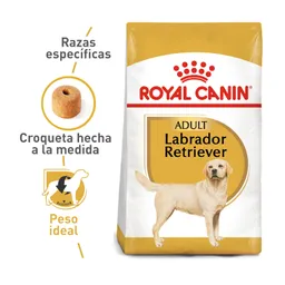 Royal Canin Alimento Para Perro Labrador 13.6 Kg