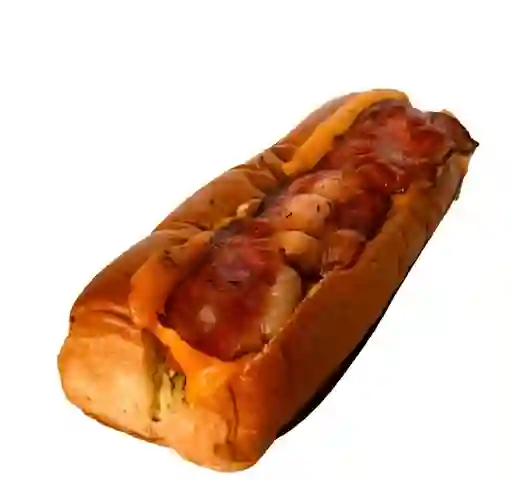 Perro Imprudente