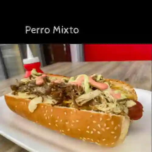 Perro Mixto