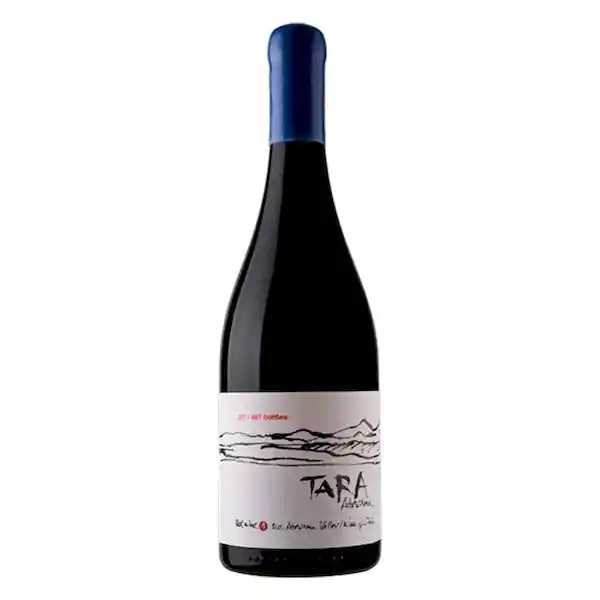 Ventisquero Vino Tinto Tara Atacama Pinoit Noir 2015