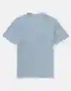 Camiseta Hombre Azul Talla MEDIUM 4290417 American Eagle