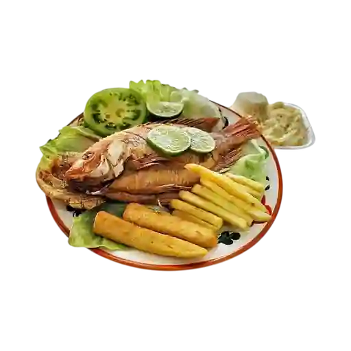 Mojarra