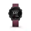 Reloj Forerunner 245 Black/berry