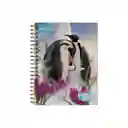 Norma Cuadernos 