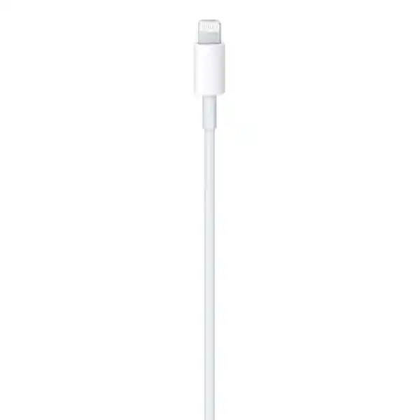 Apple Cable Lightning a Usb-C Original 1 m