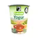 Colanta Yogur Entero con Probióticos Sabor Arequipe con Pasas