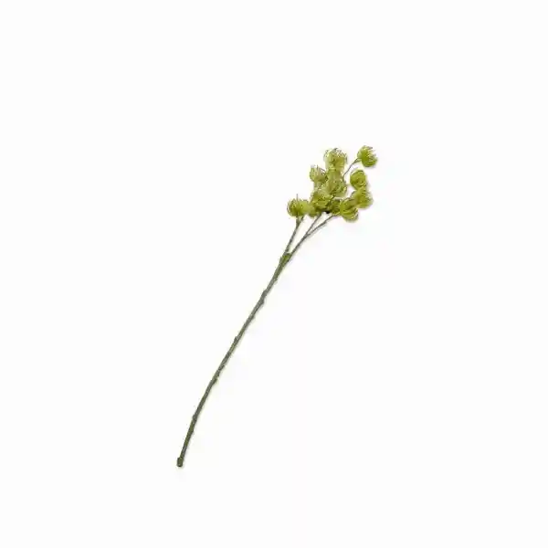 Flor Pino Silvestre Verde Ambiente Gourmet