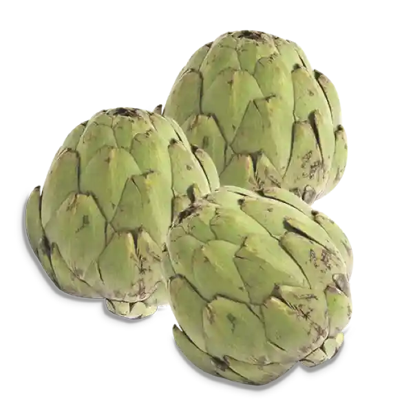 Alcachofa