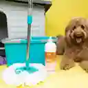 LuloPet Clean Desinfectante Espacios con Mascotas - 1Lt