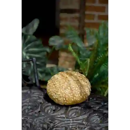 Pan Avena y Arándanos