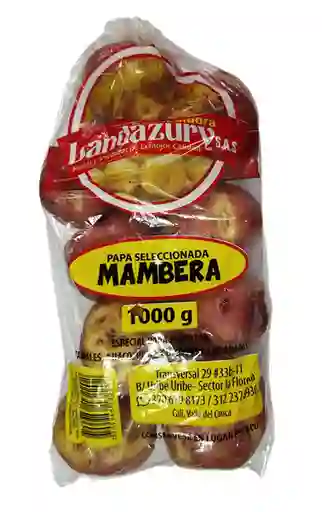 Landazury Papa Mambera