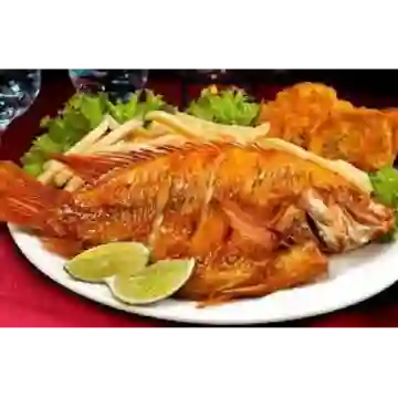 Mojarra Frita