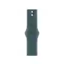 Correa Apple Watch Lake Green Sportband S/M 42 mm