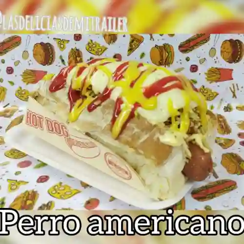 Perro Americano