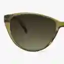Barner Gafas Sun Astoria Verde