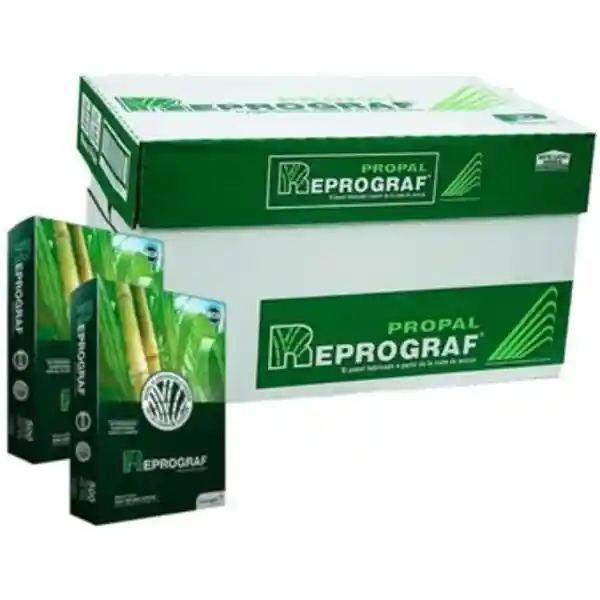 Reprograf Resma De Papel Tipo Carta Blanca De 75 G