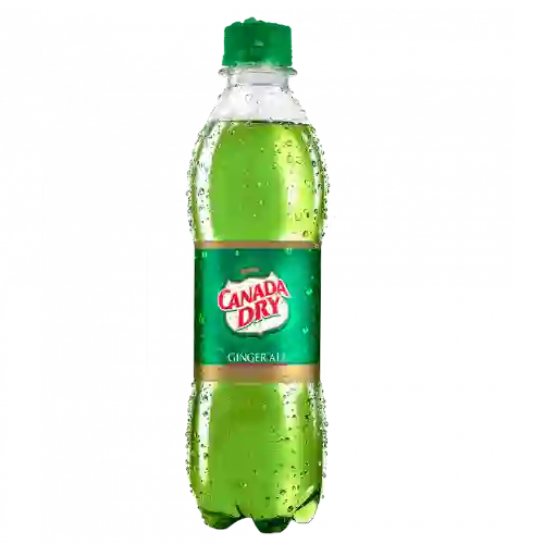 Canada Dry Ginger Ale 300 ml