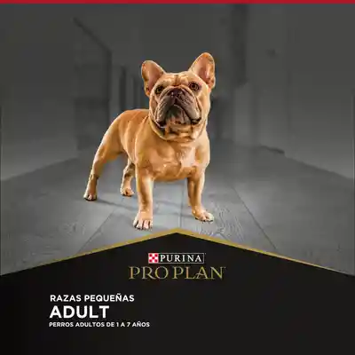 Pro Plan Alimento para Perro Adulto Raza Pequeña
