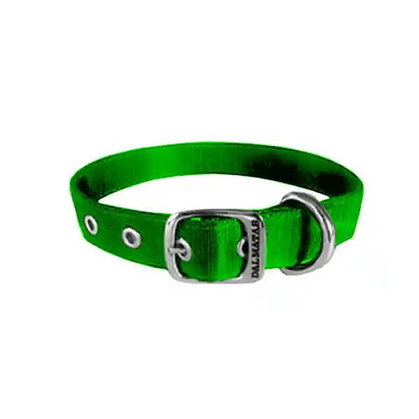 Dálmatas Collar Liso Reata Verde Talla S