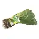 Members Selection Lechuga Romana - Pricesmart
