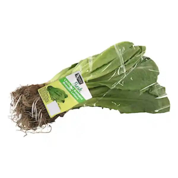 Members Selection Lechuga Romana - Pricesmart