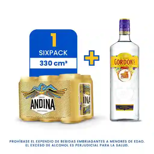 Sixpack Cerveza Andina Lata 330Ml + Gordon´S London Dry Gin 700 Ml