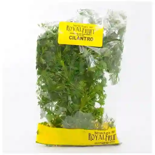 Cilantro Royal