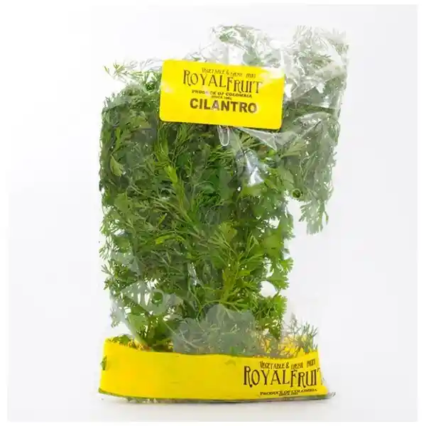 Cilantro Royal