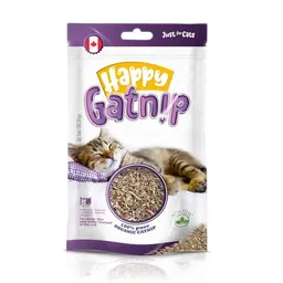 Happy Gatnip Hierba Gatuna