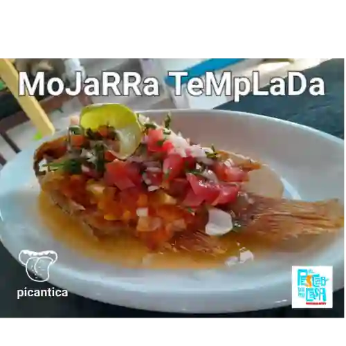 Mojarra Templada