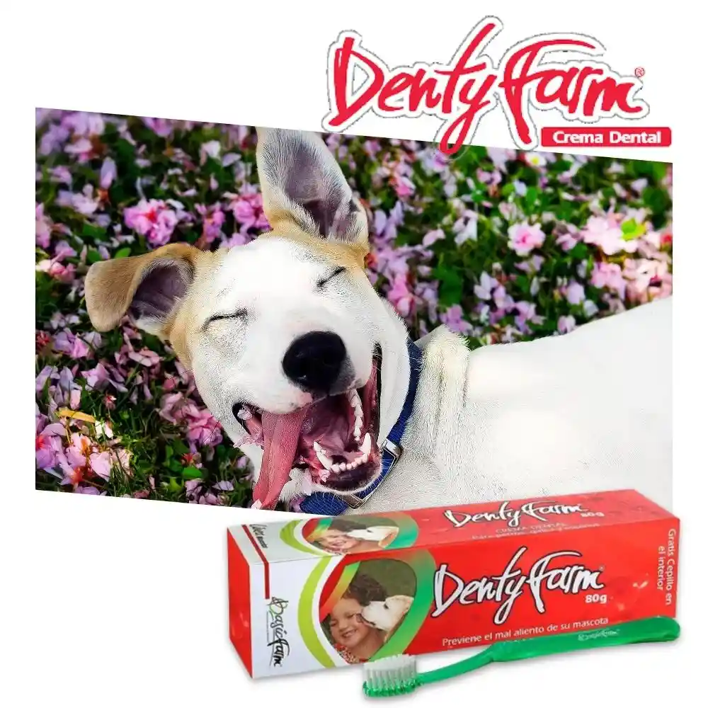 Dentyfarm Crema Dental con Clorhexidina para Mascota