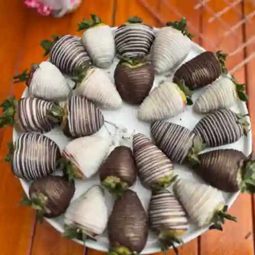 24 Fresas cubiertas de chocolate