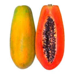 Papaya Llanera