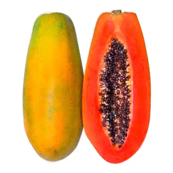 Papaya Llanera