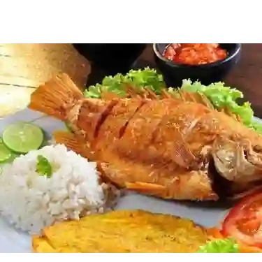 Mojarra Frita