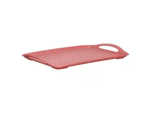 Bandeja Antiadherente Plástico Casaideas