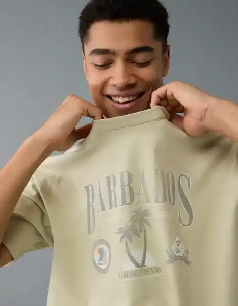 Camiseta Hombre Verde Talla: SMALL 4247357 American Eagle