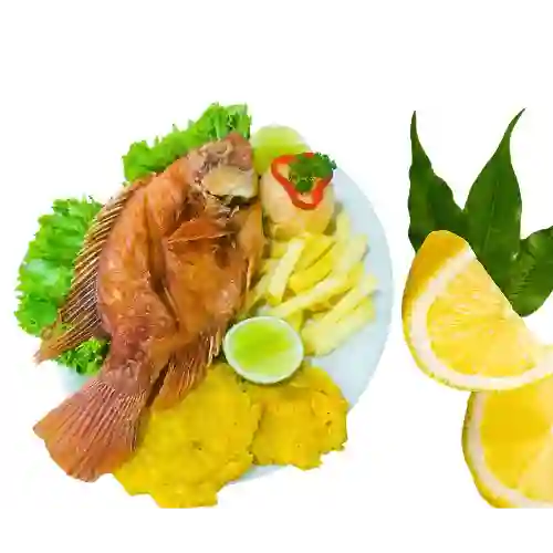 Mojarra Roja Frita