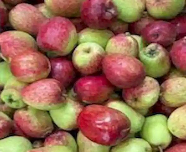 Manzana Nacional