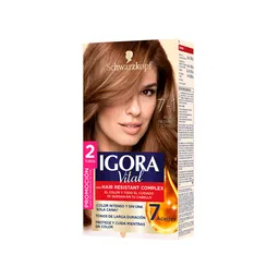 Tinte Igora Vital 7-1 Rubio Mediano Cenizo